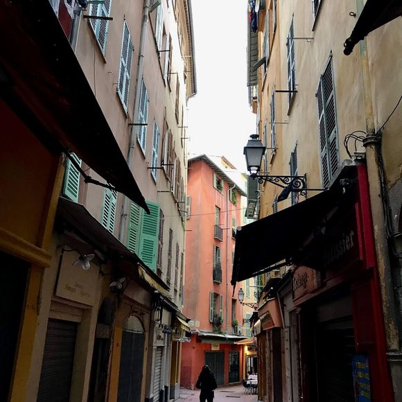 Meet your Posher, Tasha - Picture 1 of 2